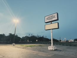 2. Crepe Myrtles and Bulk Trash