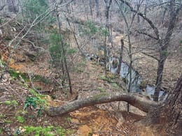19. Northshore at Murrell Park