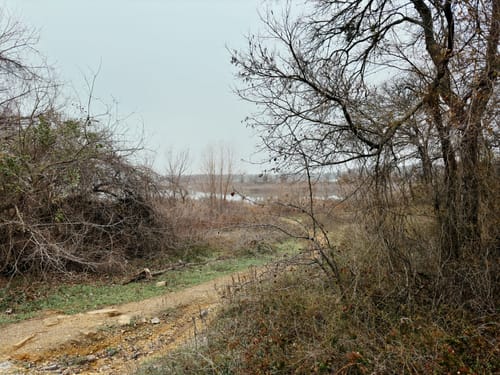 17. Northshore Access Roads